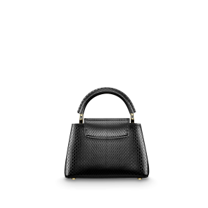 Louis Vuitton Capucines Mini dc7360 Bag